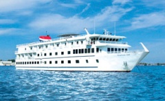 American Cruise Line