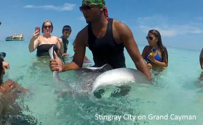 Carnival Glory video